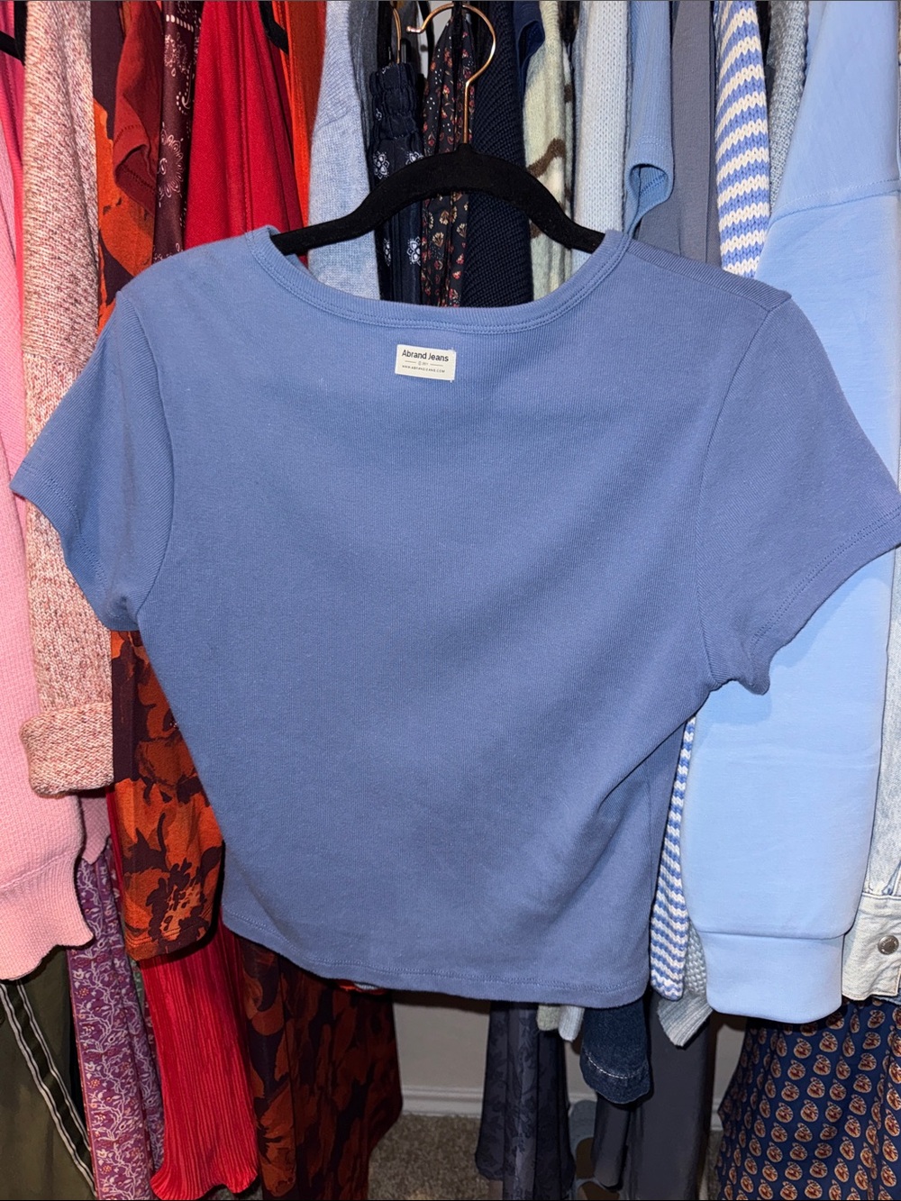 Abrand Short Sleeve Crop Top in Dusty Blue